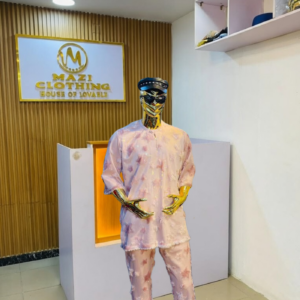 The Nigerian Standard